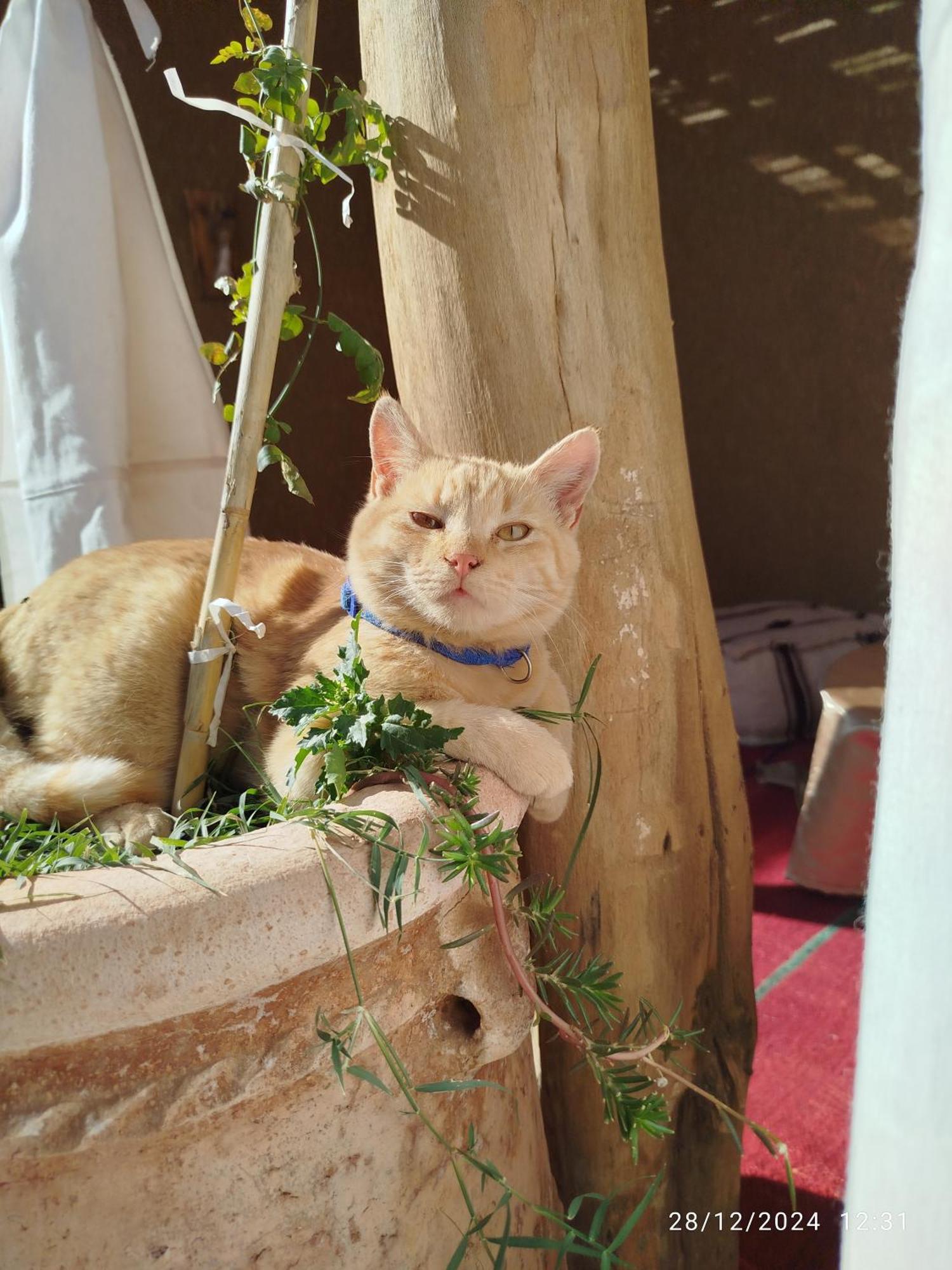 Bed and Breakfast Dar Nomads M’hamid El Ghizlane Exterior foto